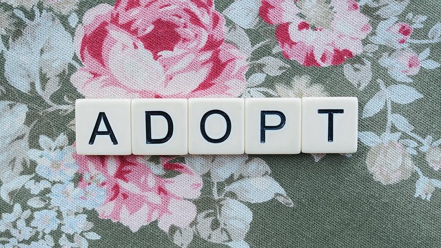 ** Jak uzyskać dokumenty kościelne dziecka adoptowanego, gdy brakuje informacji o biologicznych rodzicach? - 3 2025